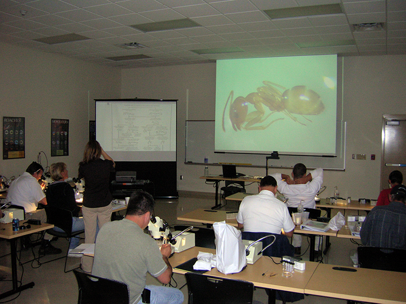Patty Alder (standing at left) directs the class to compare key morphological characters of the specimen seen on the screen with their specimens and to follow the identification key