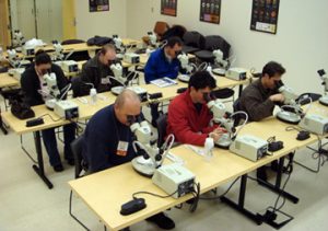Workshop attendees using microscopes to exam specimens